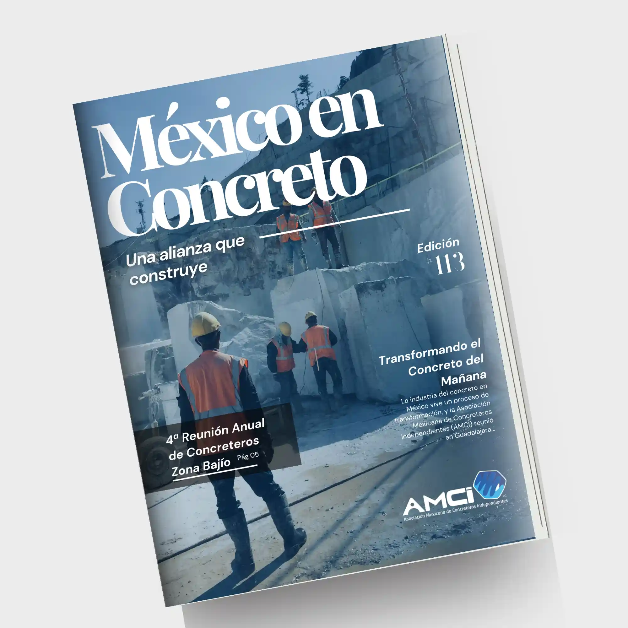 Revista Edición 113